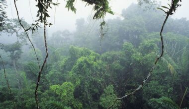 Revenge of the Climate Realists