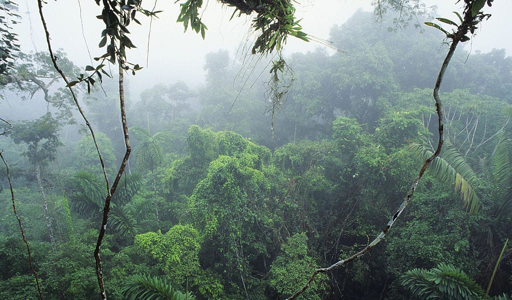 Revenge of the Climate Realists