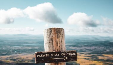 Live Breakdown of New Immigration Enforcement Data Today: Let's Democratize Immigration Data