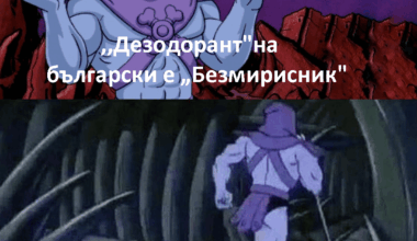 Безсмрадник също става