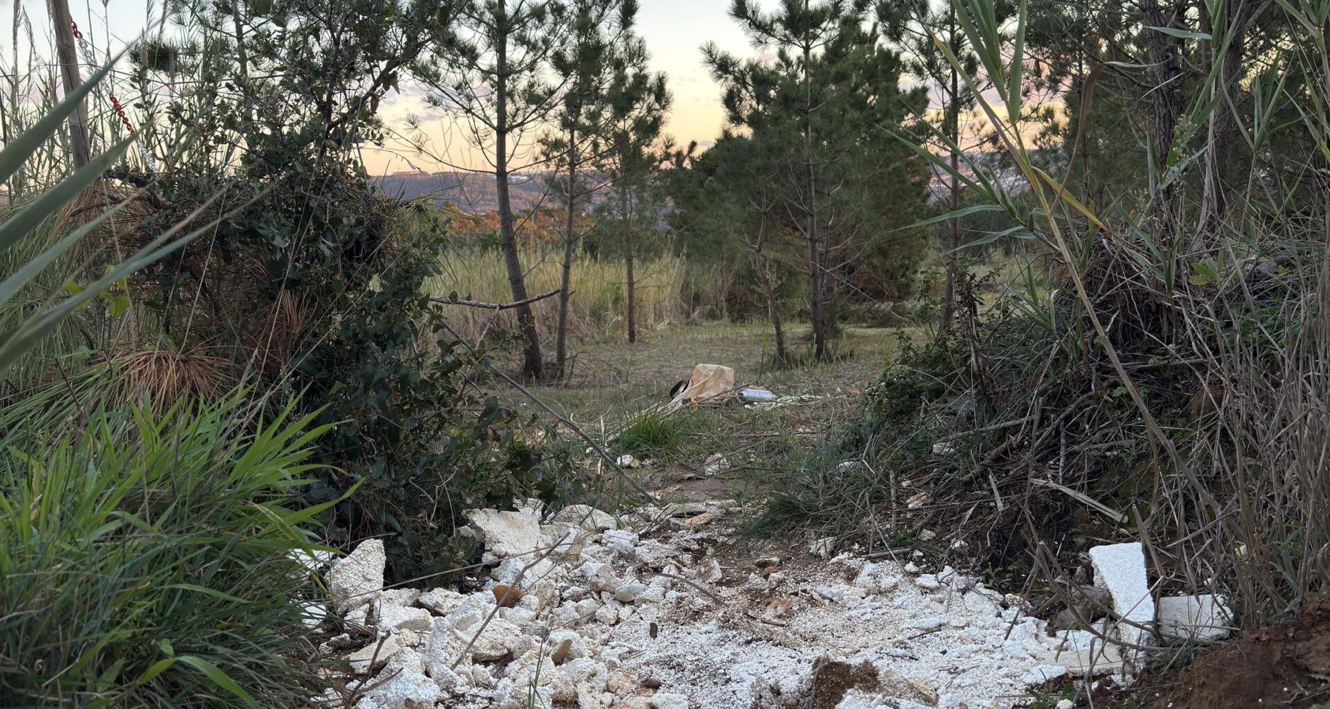 A empresa vizinha encheu os meus terrenos agrícolas com microplásticos. Quais são as minhas opções viáveis em Portugal?