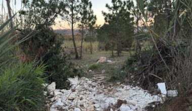 A empresa vizinha encheu os meus terrenos agrícolas com microplásticos. Quais são as minhas opções viáveis em Portugal?