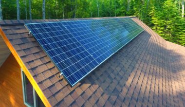 Michigan lost billions in climate-related investments in Trump’s first year