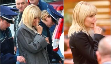 Eram mic copil cand a fost arestata Udrea in 2015 dar ceva a ramas cu mine. Ce inseamna gestul cu degetul la nas?