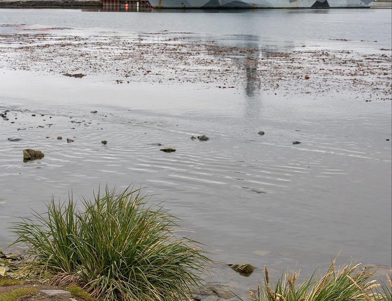 Barry sunbathing on the beach.