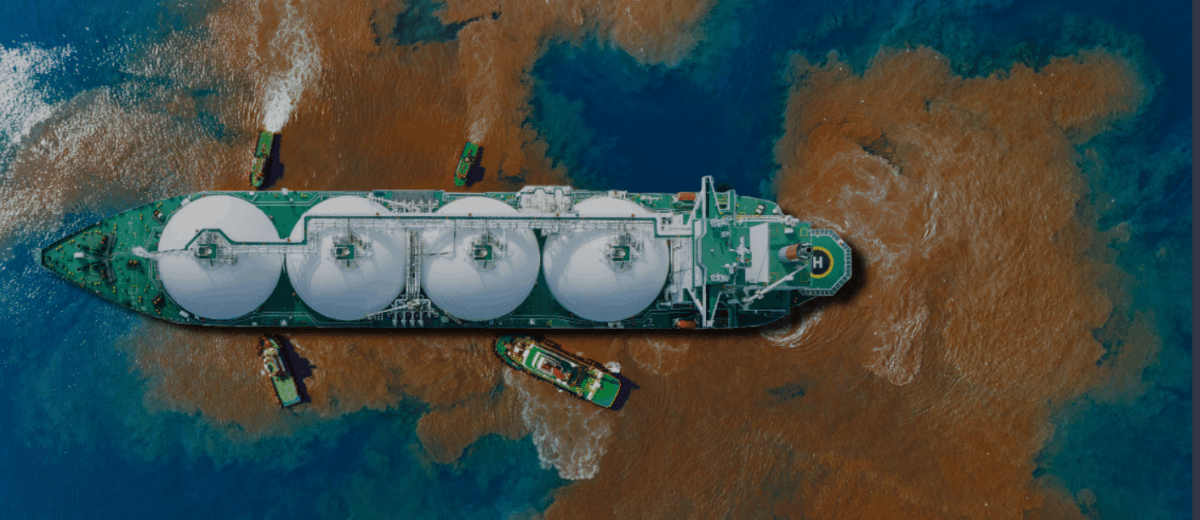 image_2025-12-02_154029797