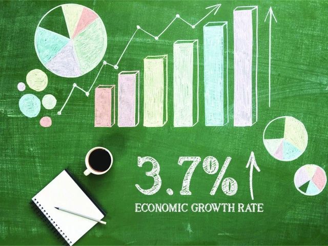 economy grows by 3 7 in q1 2025 defying flood fallout official projections