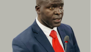 Liberia: EPA Climaxes 2025 With Strong Record of Environmental Enforcement, Climate Leadership