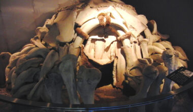 18,000-Year-Old Circular Dwellings Made of Mammoth Bones Unearthed in Ukraine