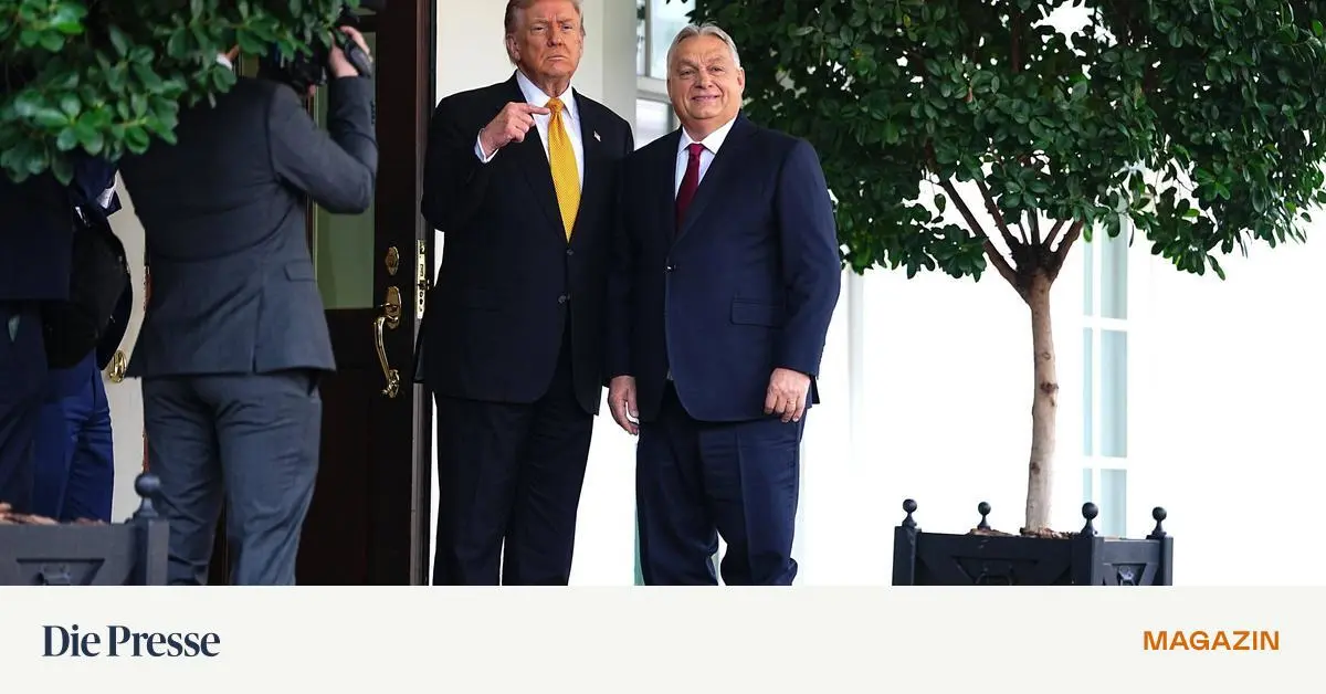 „Die USA haben großartige Partner in Österreich“ – DiePresse.com