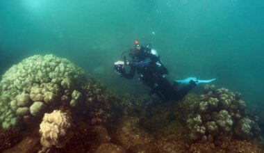 UH: $2M Moore Foundation grant backs new postdoctoral science fellowship : Maui Now