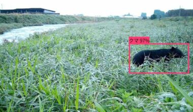 AI cameras speed alerts on bear sightings in Japan