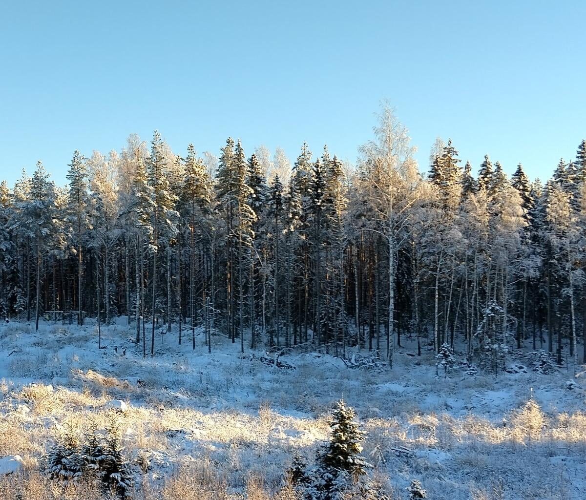 Finland in winter.