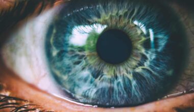 South Korea’s AJ2 says iris biometrics natural successor to facial recognition