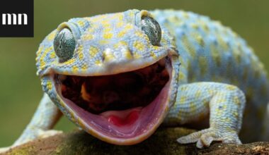 Listasimme 25 hauskaa isävitsiä – äänestä suosikkiasi!