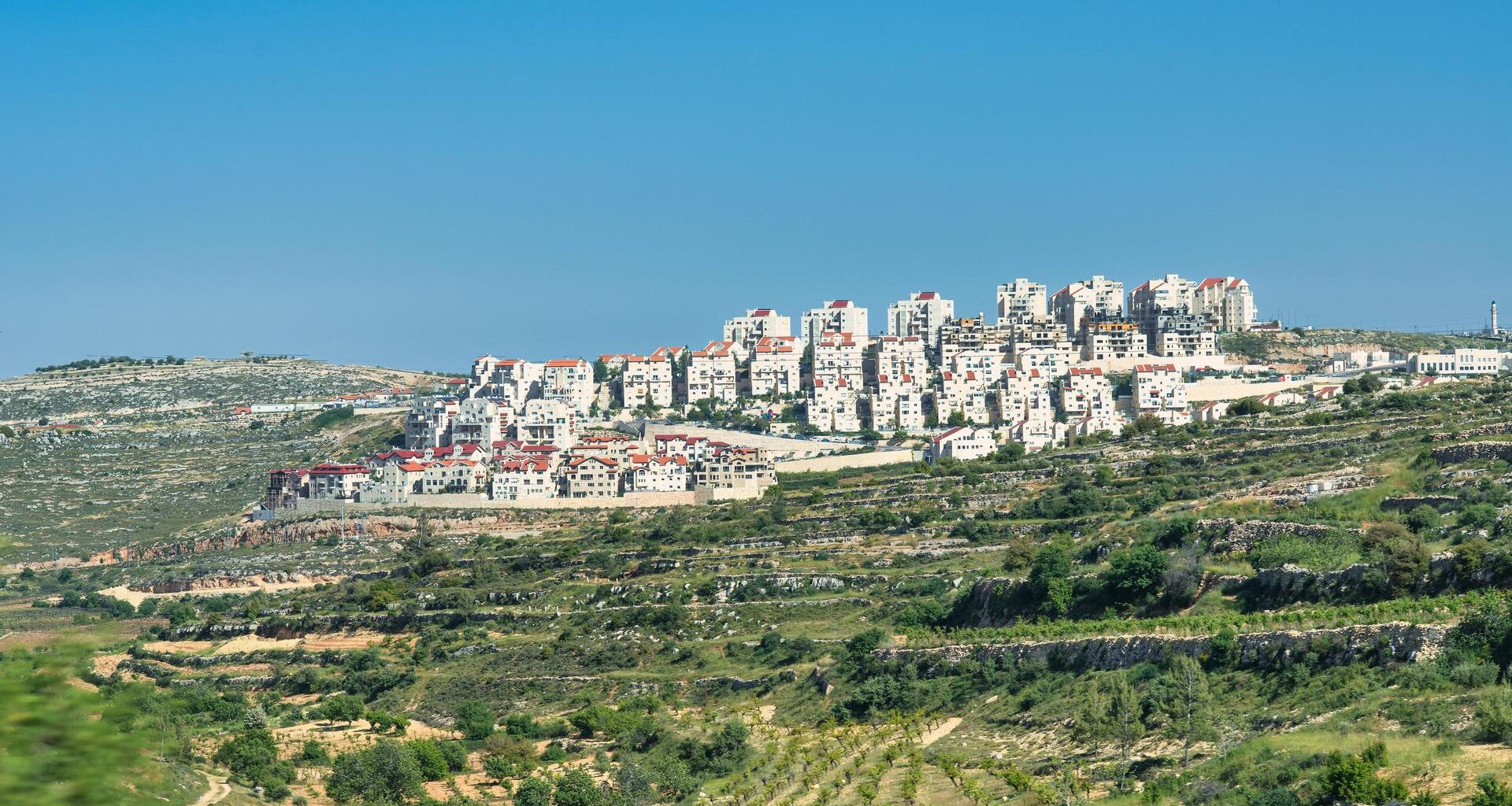 Die israelische Siedlung Betar Illit im Westjordanland. Sie liegt auf einem Hügel. Abgebildet sind zahlreiche, meist mehrgeschossige Gebäude. Sie sind weiß, und viele haben rote Dächer.