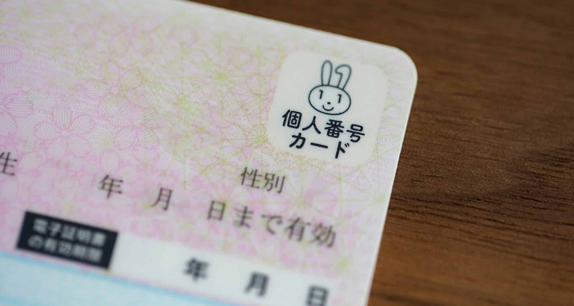 Japan formally completes digitizing health insurance card, following EU nations