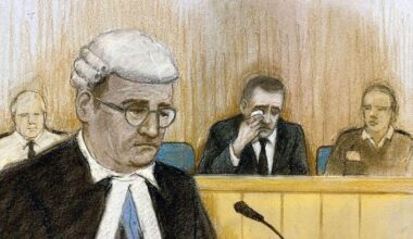 Paul Doyle cries in court as he learns fate for mowing down victory parade crowd