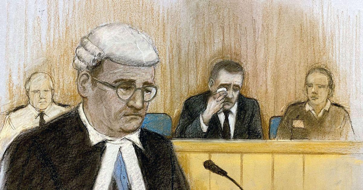 Paul Doyle cries in court as he learns fate for mowing down victory parade crowd