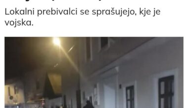 Koliko časa se bomo Slovenci še šli "willkommen" politike?