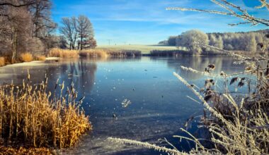 Reiflandschadt am Burgteich in Schönfels