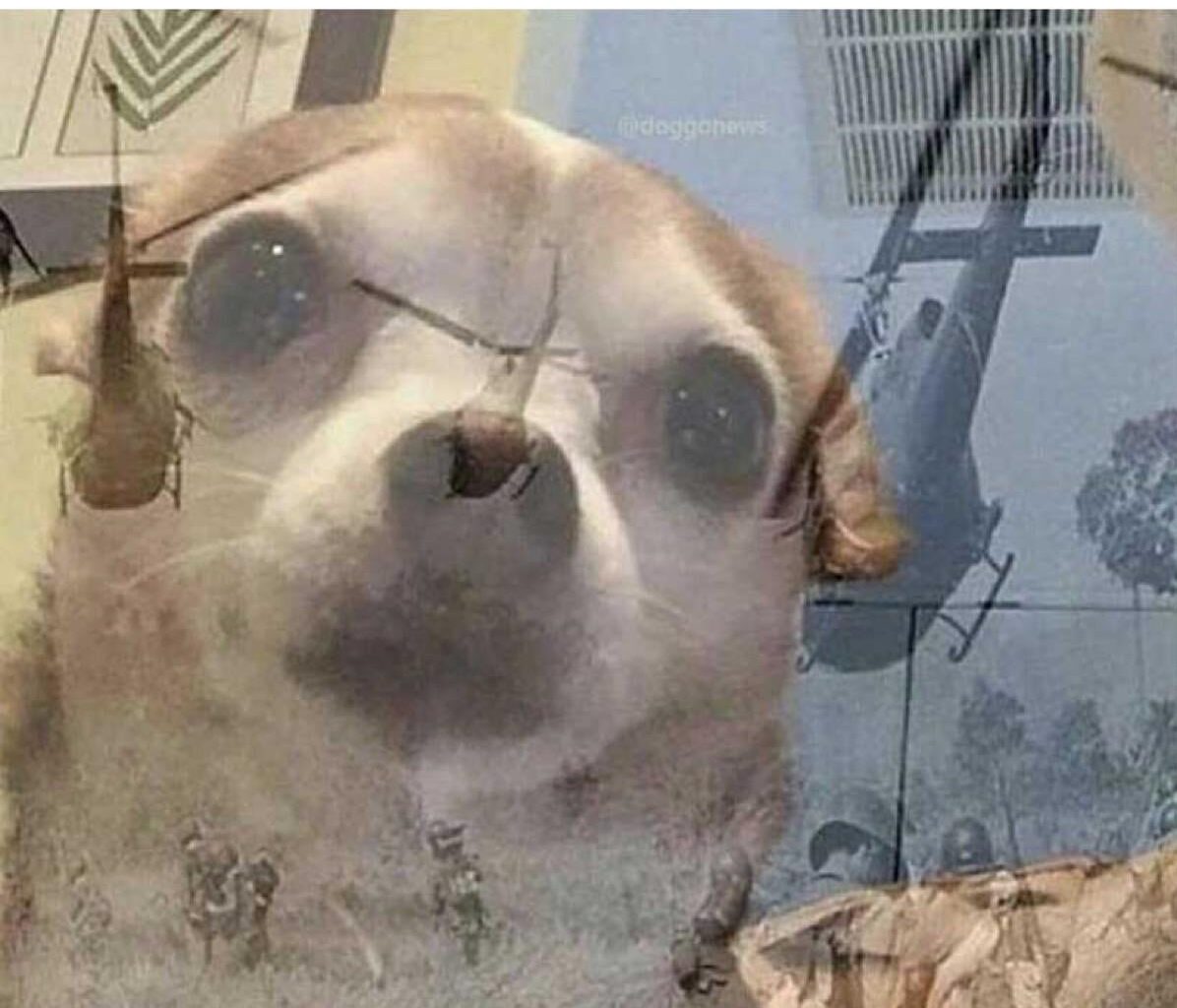 Anlässlich zu Weihnachtsgästen