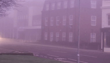 this morning around 7am!