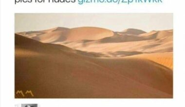 Woah lil bad would’ve loved that