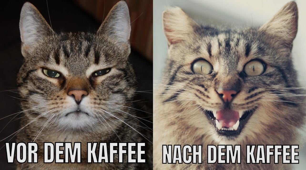 Kaffee am Morgen vertreibt Kummer und Sorgen 😂