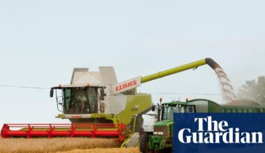 UK farmers lose £800m after heat and drought cause one of worst harvests on record | Farming