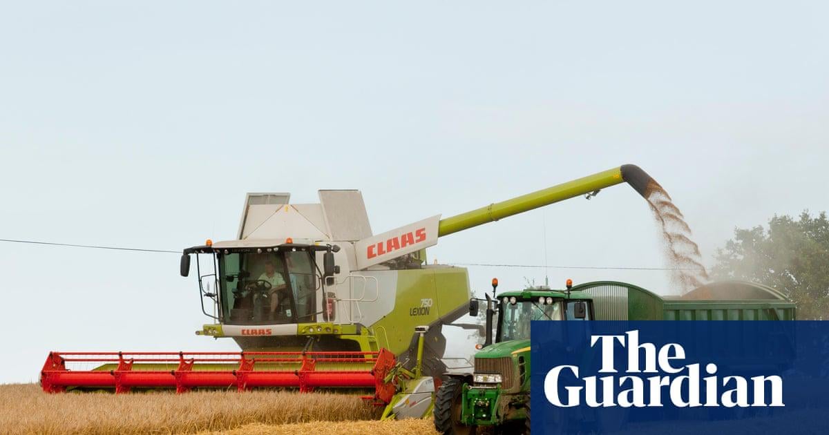 UK farmers lose £800m after heat and drought cause one of worst harvests on record | Farming