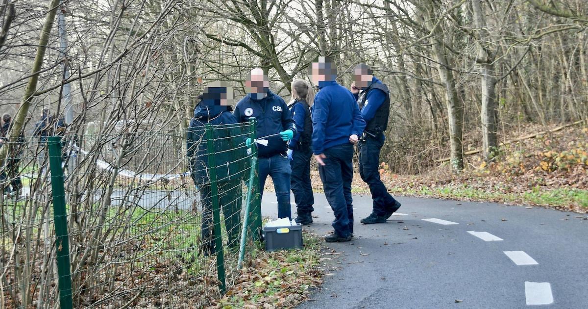 Vrouw wordt van fiets getrokken en vlak naast E17 in Kortrijk verkracht: dader (25) na klopjacht snel gevat