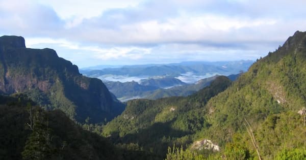 80-year-old man saved by a family after collapsing during tramp