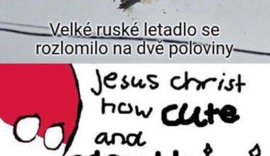 Why are they so cute?