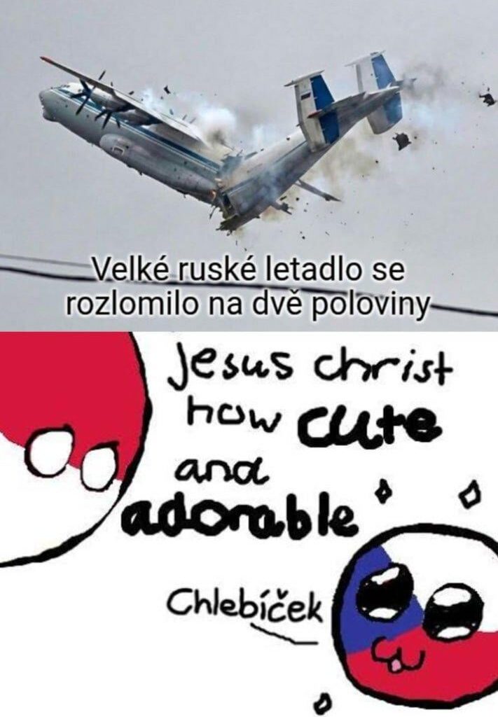 Why are they so cute?