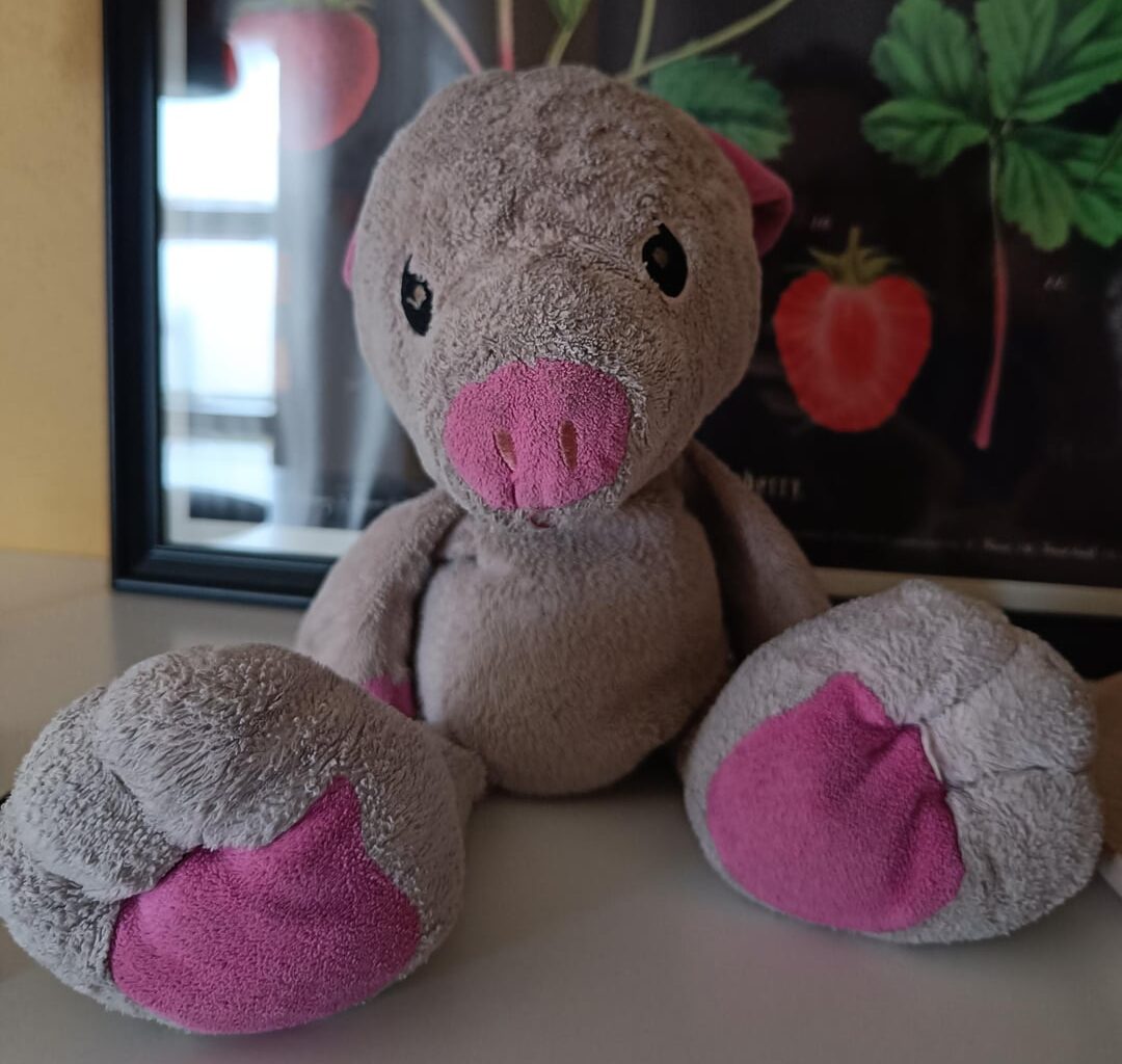 Knuffel(merk) gezocht