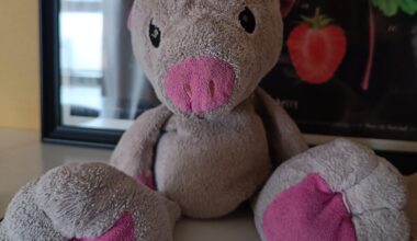 Knuffel(merk) gezocht