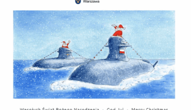 This makes me warm and fuzzy. God Jul & Wesołych Świąt Bożego Narodzenia Swedish friends.