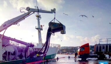 key statistics landing 2022 PelAC mackerel landing obligation pelagic fishing opportunities 2025