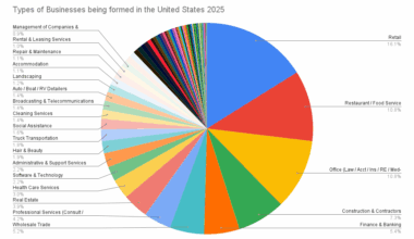 [OC] Types of businesses being formed in the United States 2025