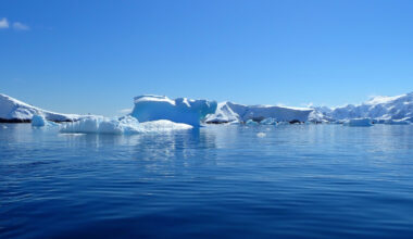 Missing Robot In The Antarctic Returned With Terrifying Data