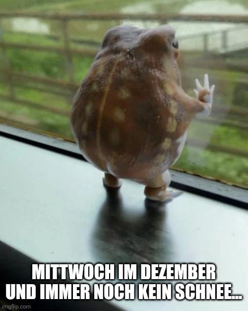 Traurige Froschgeräusche...