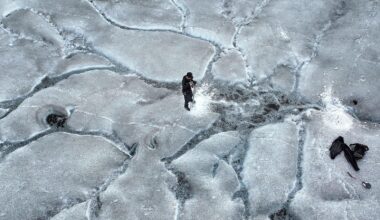 We’re Losing 1,000 Glaciers a Year. How Worried Should We Be?