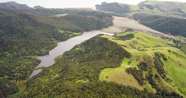 Police recover body after swimmer went missing in Auckland lake