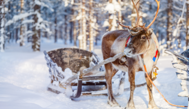 Where to go for a guaranteed white Christmas