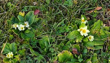 Endlich is wieder Frühling!