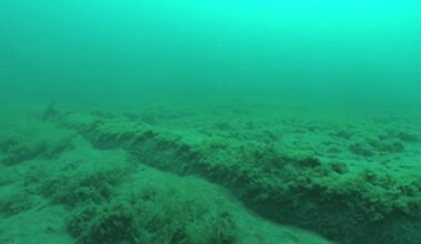 Federal Judge Line 5 ruling: Environmental groups concerned for lake health