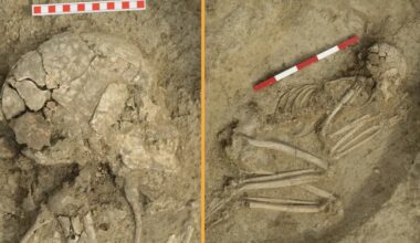 Grave Of Copper Age Lion Attack Survivor Discovered In Bulgaria