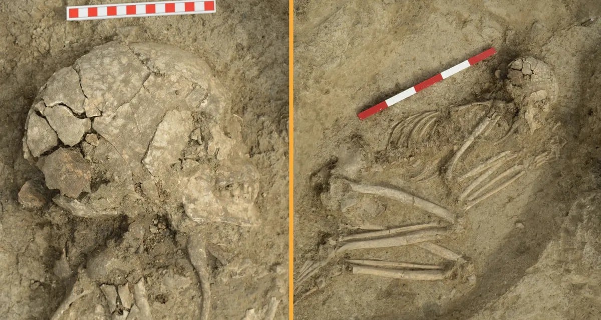 Grave Of Copper Age Lion Attack Survivor Discovered In Bulgaria