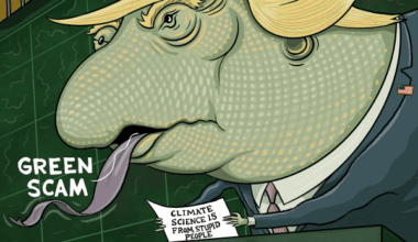 Action on Climate Languished in 2025